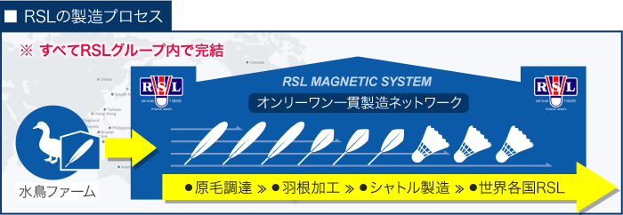 RSLマグネティックシステム